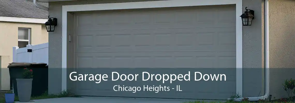 Garage Door Dropped Down Chicago Heights - IL