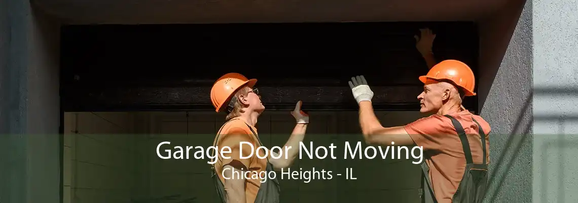 Garage Door Not Moving Chicago Heights - IL