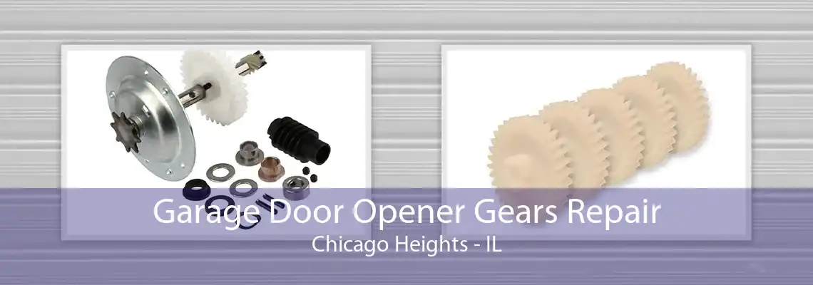 Garage Door Opener Gears Repair Chicago Heights - IL