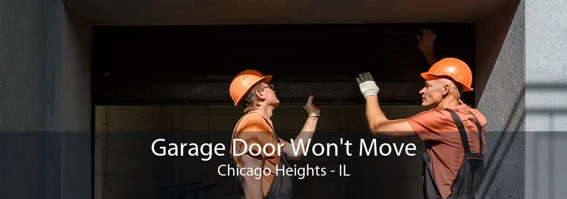 Garage Door Won't Move Chicago Heights - IL